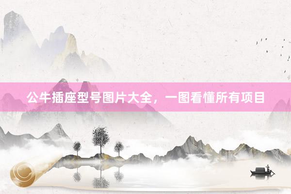 公牛插座型号图片大全，一图看懂所有项目