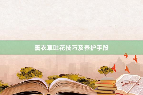 薰衣草吐花技巧及养护手段