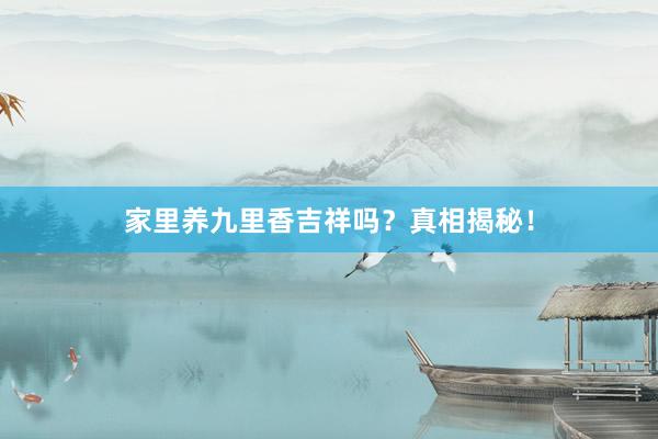 家里养九里香吉祥吗？真相揭秘！